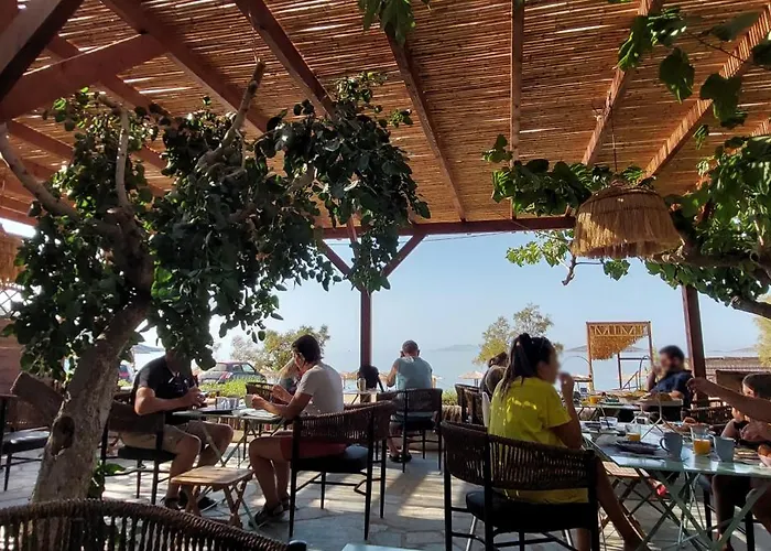 Filio Kipri (Andros)