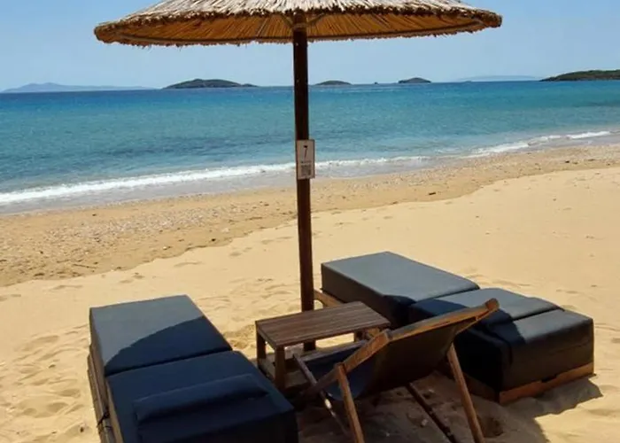 Filio Kipri (Andros)